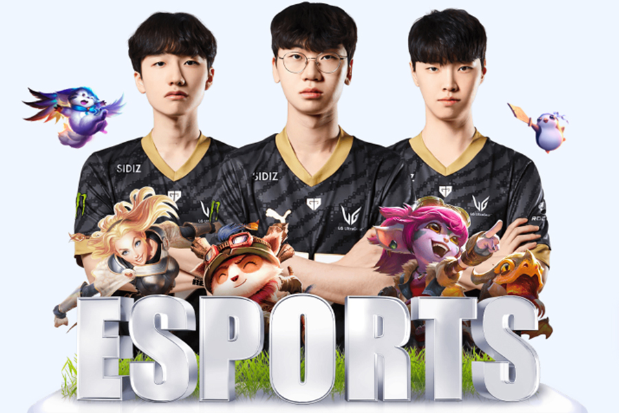 ����˧ì��������Ծ��ֲ����Ų����������׵ܵ���Ҫ�뿪����